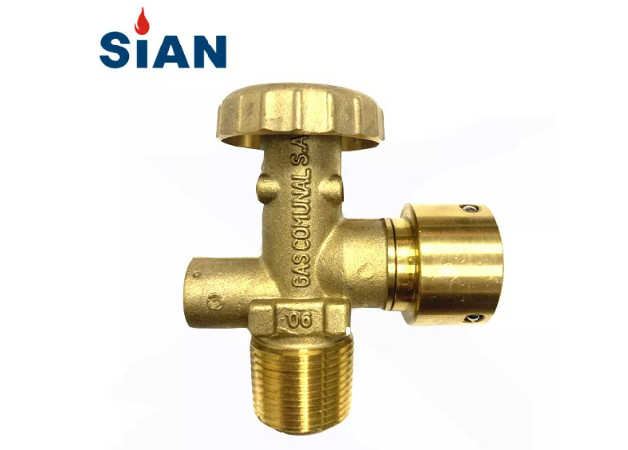 Клапан сжиженного сфона (1)