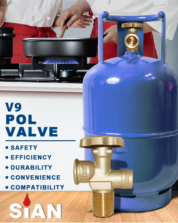 Sian V9S4 LPG Цилиндровые клапаны Pol (1)