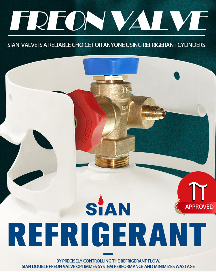 Sian Double Freon Recovery Colecting Cylve Calve (1)