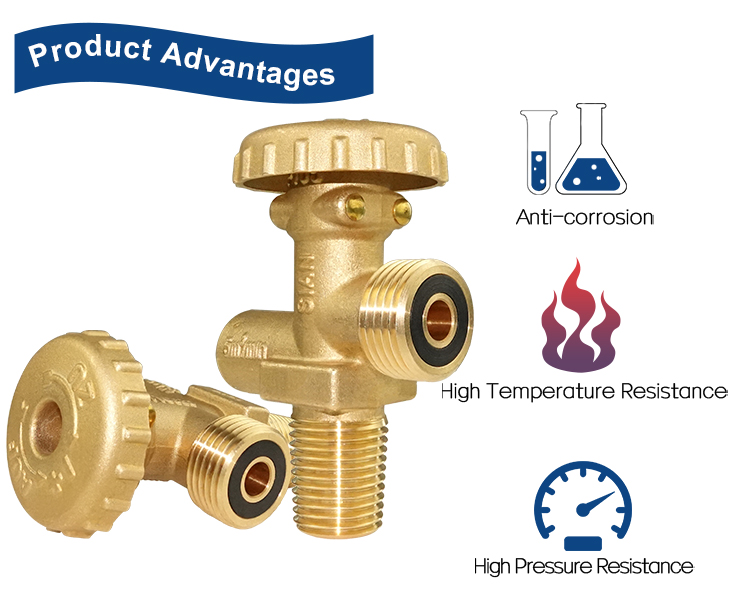 Французский газовый клапан LPG (17)