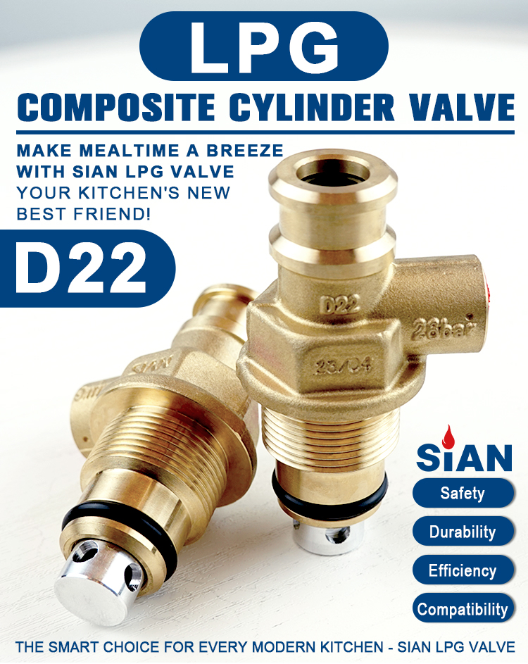 Sian D22 LPG CPMPOSITE COLVIND -клапаны (6)