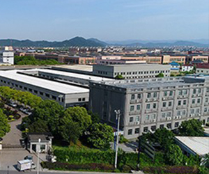 Профессионал