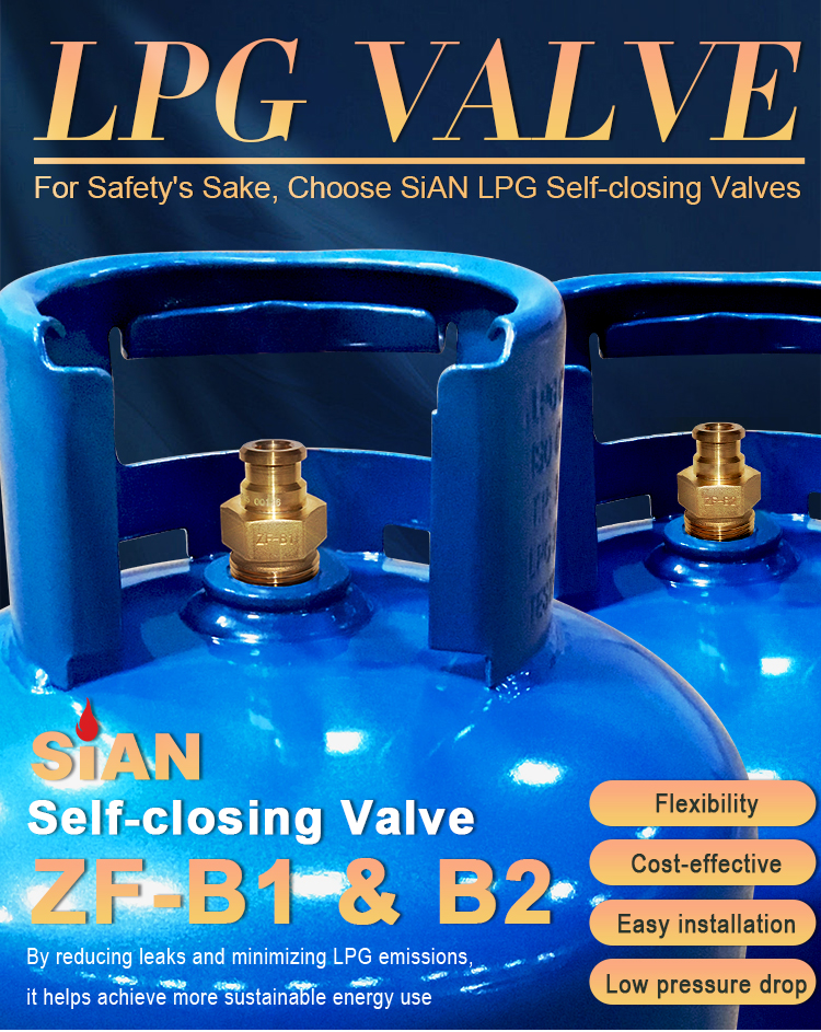 Саморежигающий клапан сжиженного сфона (6)